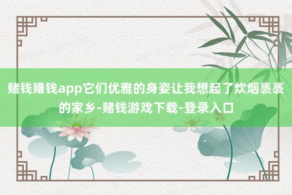 赌钱赚钱app它们优雅的身姿让我想起了炊烟褭褭的家乡-赌钱游戏下载-登录入口