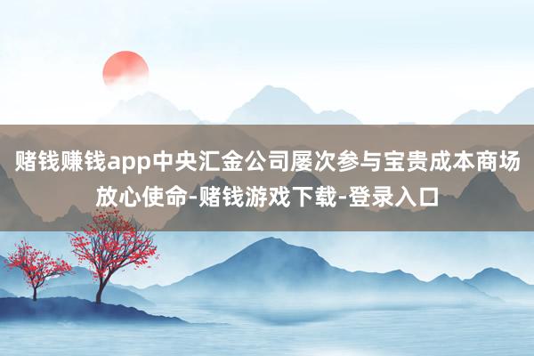 赌钱赚钱app中央汇金公司屡次参与宝贵成本商场放心使命-赌钱游戏下载-登录入口