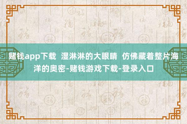 赌钱app下载  湿淋淋的大眼睛  仿佛藏着整片海洋的奥密-赌钱游戏下载-登录入口