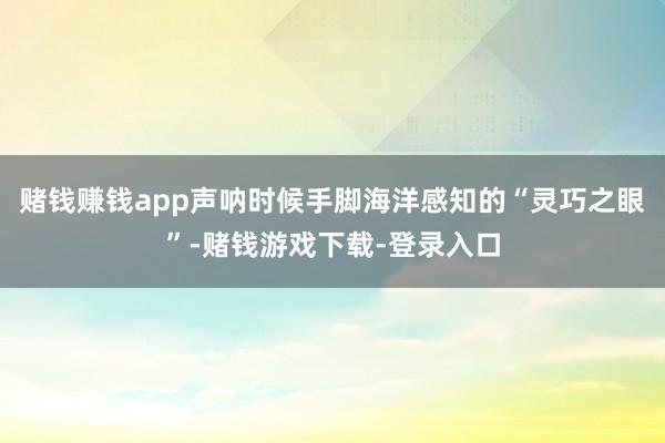 赌钱赚钱app声呐时候手脚海洋感知的“灵巧之眼”-赌钱游戏下载-登录入口